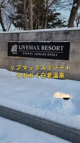 ホーリーゆうのTikTok投稿