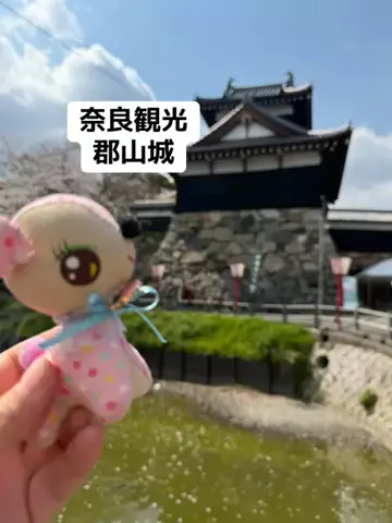 みやも人形のTikTok投稿