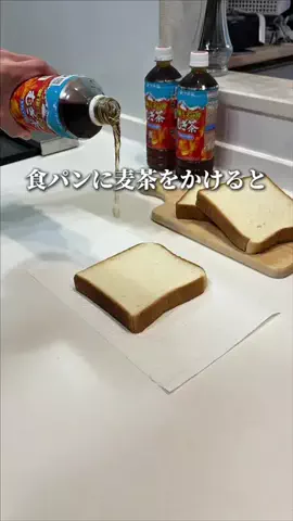 ぴーすけ | シンプル4人暮らし＋🐶のTikTok投稿