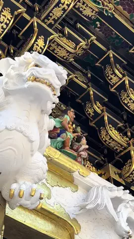 おとけしきのTikTok投稿