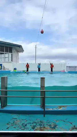 おとけしきのTikTok投稿
