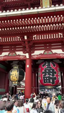 おとけしきのTikTok投稿