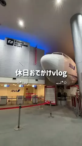きっしーのTikTok投稿