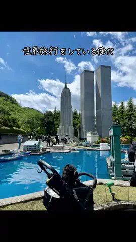 🇯🇵CP🏵️🐾のTikTok投稿