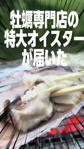 ひげおとめ🍦のTikTok投稿