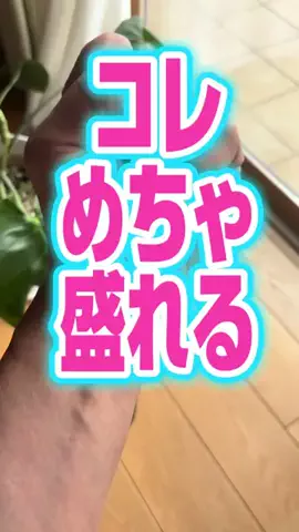 ひげおとめ🍦のTikTok投稿