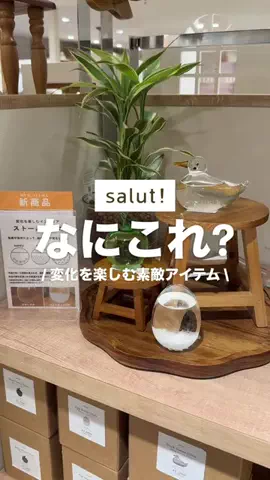 カナ | お財布に優しい便利アイテムガイド👛✨のTikTok投稿