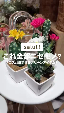 カナ | お財布に優しい便利アイテムガイド👛✨のTikTok投稿