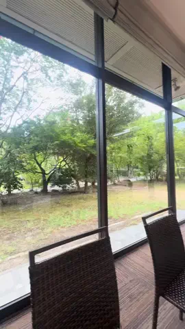kumacoのTikTok投稿
