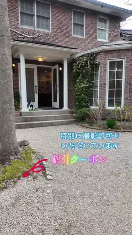 LittleBamboo.lsのTikTok投稿