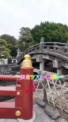 LittleBamboo.lsのTikTok投稿