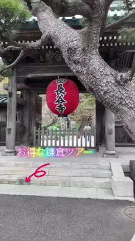 LittleBamboo.lsのTikTok投稿