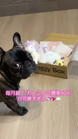 よだれ🤤のTikTok投稿