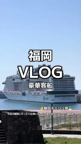 1QUESTION / JAPANのTikTok投稿
