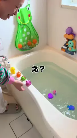 はるボー夫婦🤜🤛のTikTok投稿