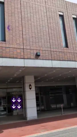 トアンもん　チャンネルのTikTok投稿
