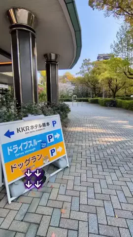 トアンもん　チャンネルのTikTok投稿
