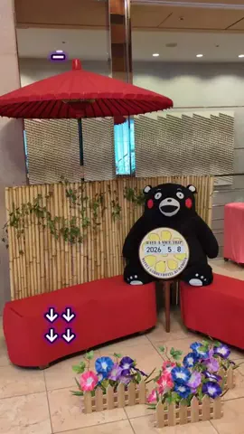 トアンもん　チャンネルのTikTok投稿