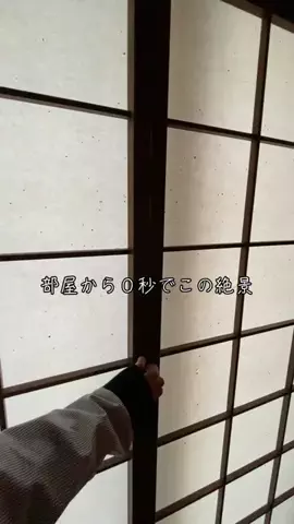 名古屋グルメ🌻美味しいものしか食べたくないのTikTok投稿