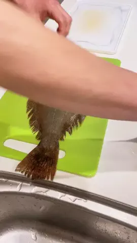 おろし丸のTikTok投稿