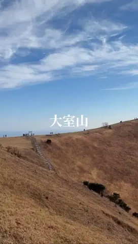 豆柴日記☀️🐾のTikTok投稿