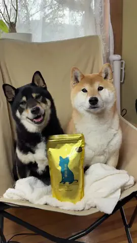 おてんとうまる&つきひこのTikTok投稿