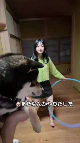 たかはし葵🍏💫のTikTok投稿