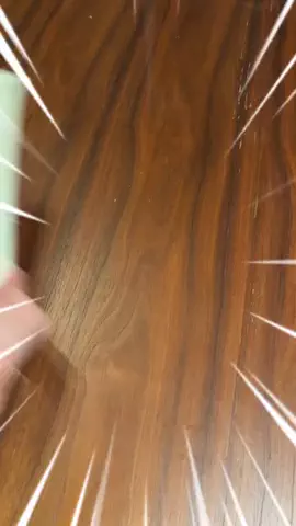 ひのきくんのTikTok投稿