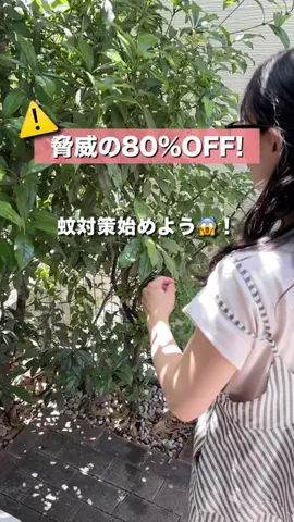 かかみのTikTok投稿