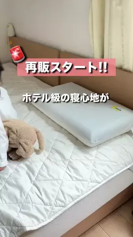 かかみのTikTok投稿