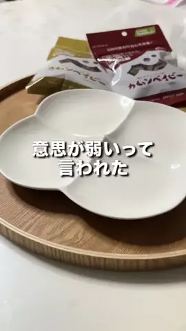 かかみのTikTok投稿