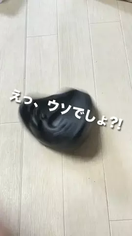 かかみのTikTok投稿