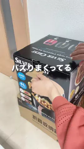 かかみのTikTok投稿