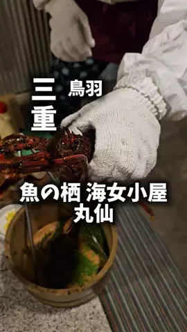 関西ごはんのTikTok PR投稿：限界OLのホテル紹介！鳥羽で海女小屋っぽい雰囲気と、網…