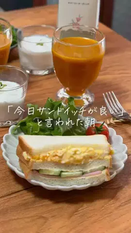 サジーワンオンラインショップのTikTok投稿