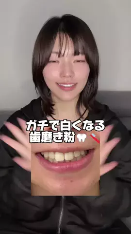 MEiのTikTok投稿