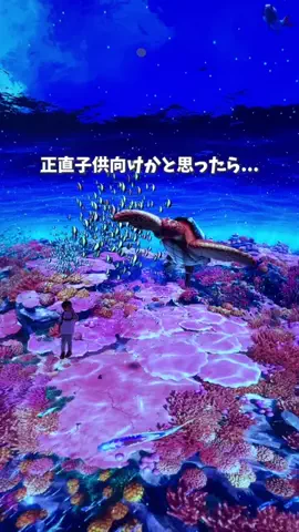 ひだまり｜東京発おでかけカップル☀️のTikTok投稿