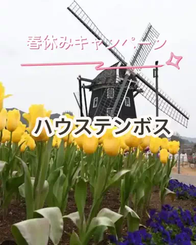 🌿𝙉𝙖𝙢𝙞🍜❤【自粛中】のTikTok投稿
