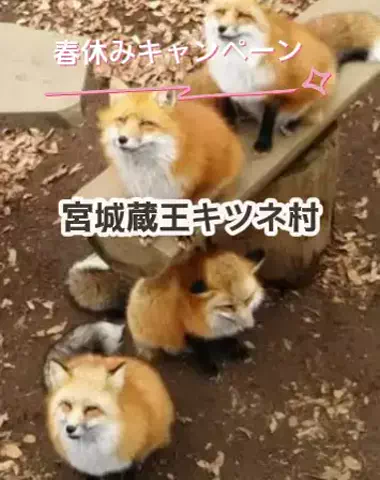 🌿𝙉𝙖𝙢𝙞🍜❤【自粛中】のTikTok投稿