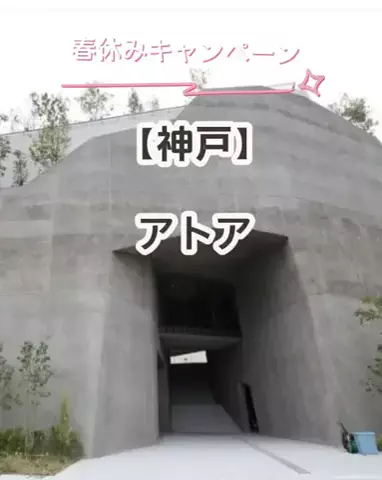 🌿𝙉𝙖𝙢𝙞🍜❤【自粛中】のTikTok投稿