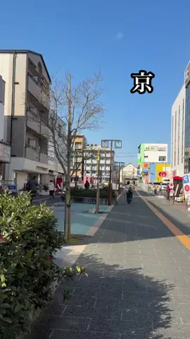 みっけ!やましろのTikTok投稿