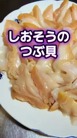 🍋remon🍋🏍️coelacanthのTikTok投稿