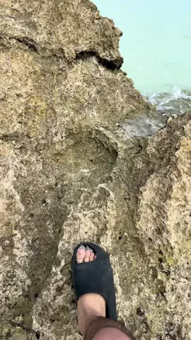 千葉の旅人のTikTok投稿
