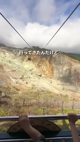 mocoのおでかけ日記のTikTok投稿
