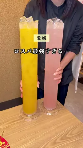 チチトコ⌇愛媛グルメ＆おでかけのTikTok投稿
