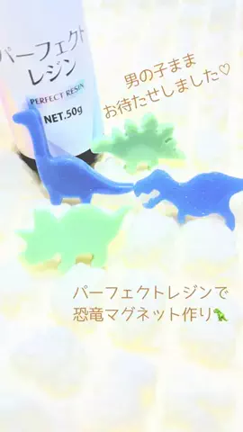 chaso_hubschのTikTok投稿