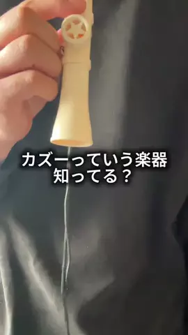 これめっちゃオススメ！のTikTok PR投稿：楽器#pr 