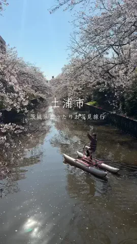 みたらし🍡のTikTok投稿