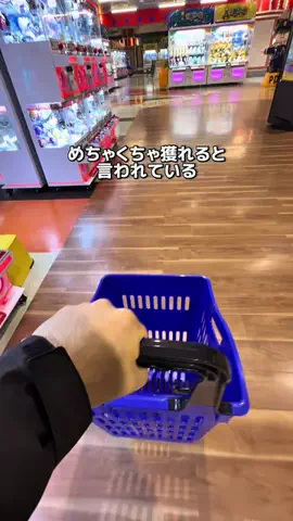 ふじの130kg【ゲーセン攻略屋】のTikTok投稿