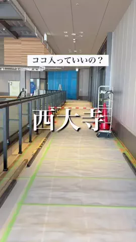 はれぱぱ｜岡山おでかけのTikTok投稿